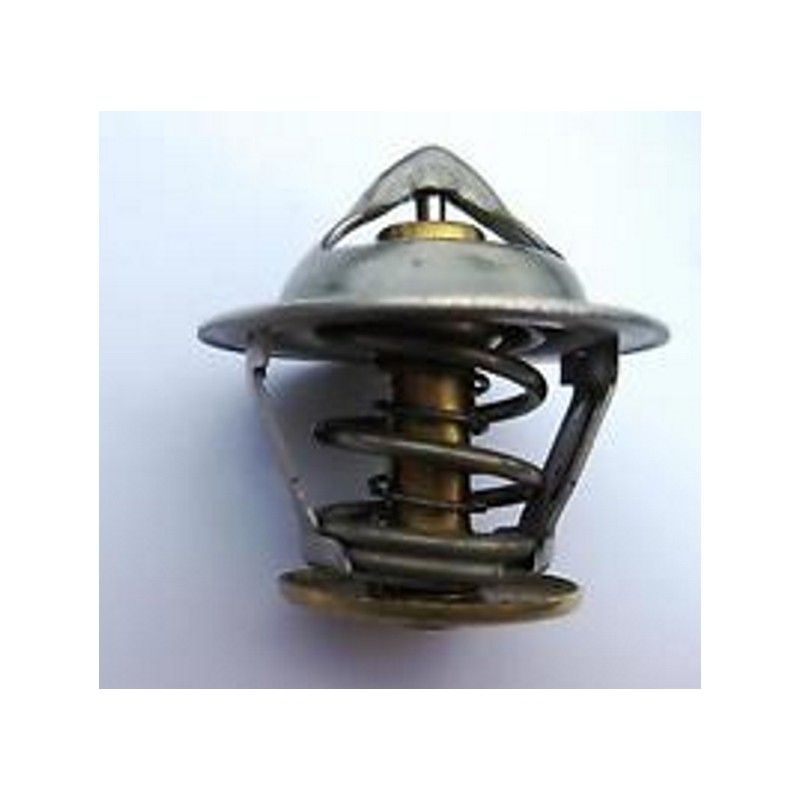 TERMOSTATO MOTOR