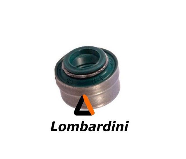 RETEN VALVULA MOTOR LOMBARDINI LDW 502
