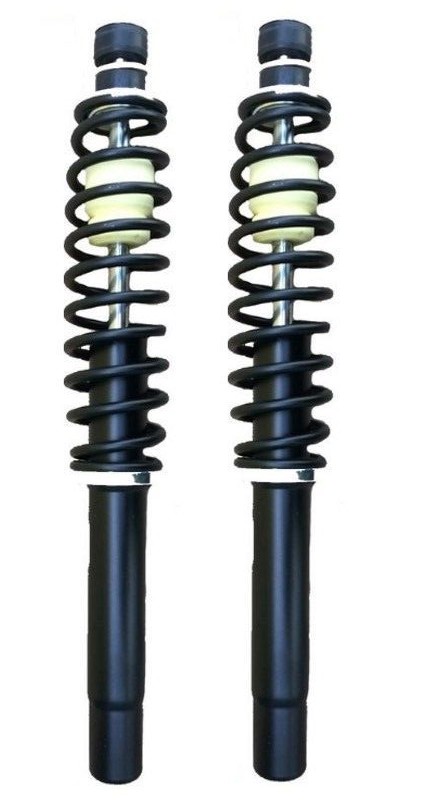 AMORTIGUADORES DELANTEROS  LIGIER 0200077