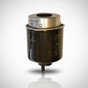 FILTRO GASOIL MOTOR LOMBARDINI DCI