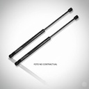 AMORTIGUADOR DE PORTÓN DEL MALETERO MICROCAR