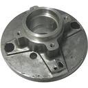 CONJUNTO BUJE TRASERO MICROCAR