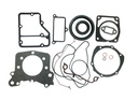 KIT JUNTAS PARTE BAJA MOTOR LOMBARDINI ED0082051230
