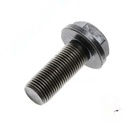 TORNILLO CIGUEÑAL MOTOR LOMBARDINI