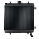 RADIADOR MOTOR